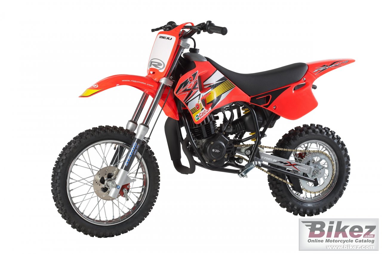 Big Rieju mx disc 50 picture and wallpaper from Bikez.com